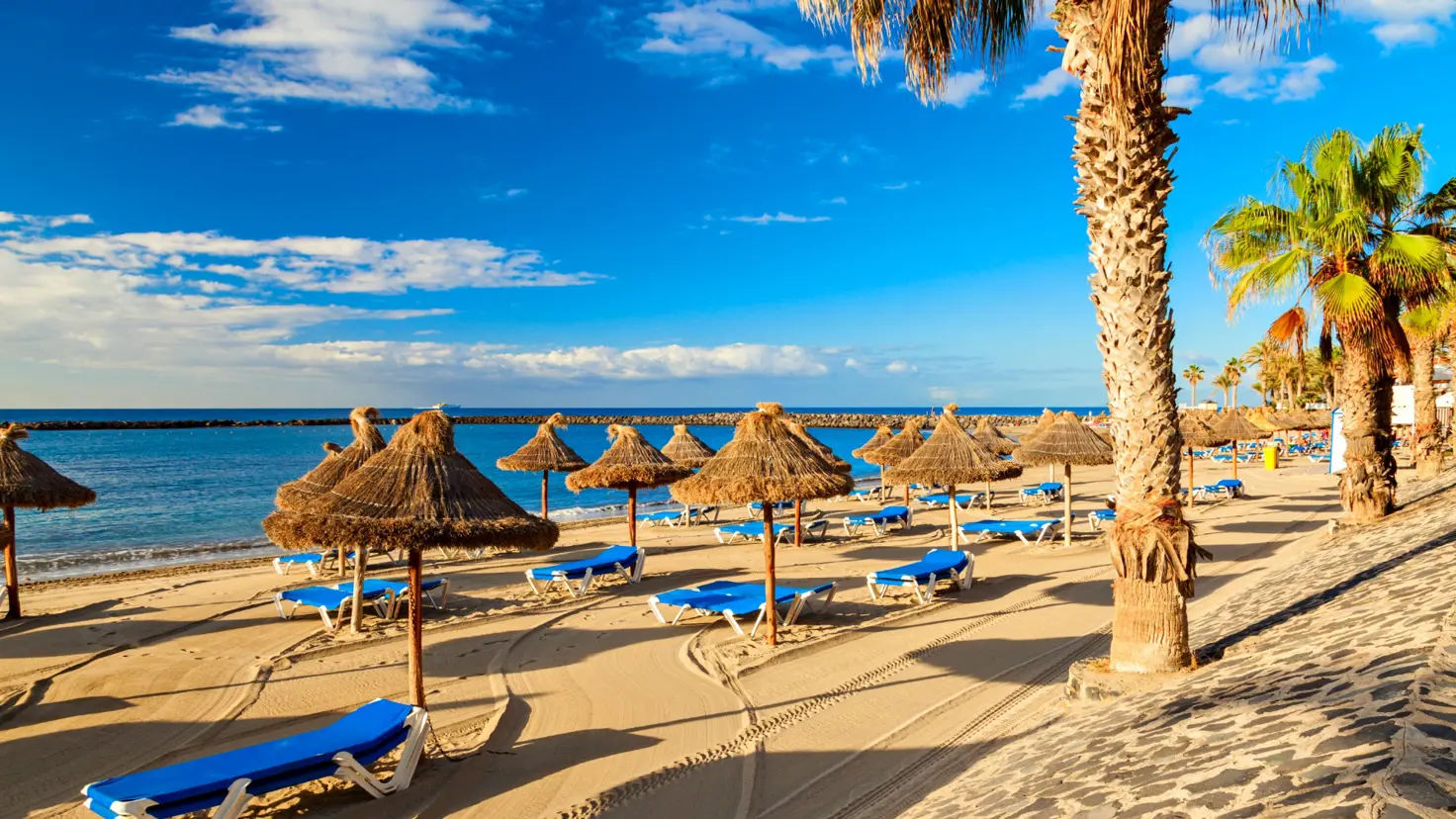 Los Cristianos Beach 000056489748 Large