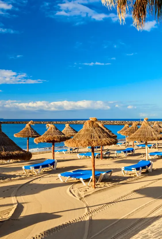 Los Cristianos Beach 000056489748 Large
