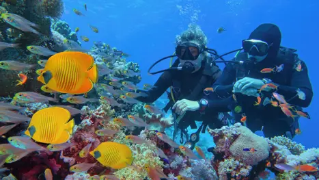 Egypten Sharm El Sheikh 1920X1080 17