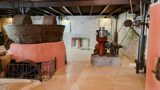 Paragaea Olivenmuseum Parga (8)(1)
