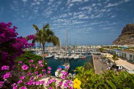 Mogan Puerto48