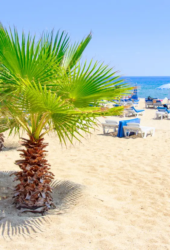 Alanya Shutterstock (19)