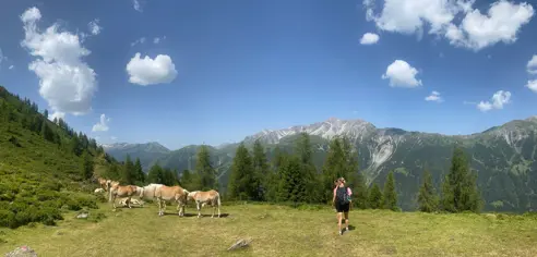 50F75641 376D 4074 92AA 0EFD8E9FB9C2