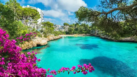 Cala Dor 2019 4