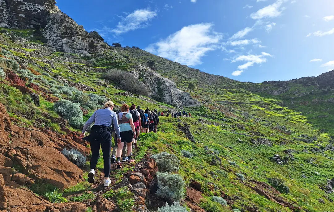 Pico Branco Vandretur Porto Santo Jesper Panorama (43)