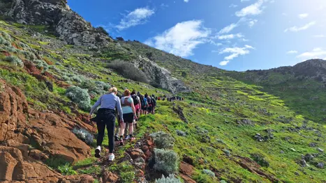 Pico Branco Vandretur Porto Santo Jesper Panorama (43)