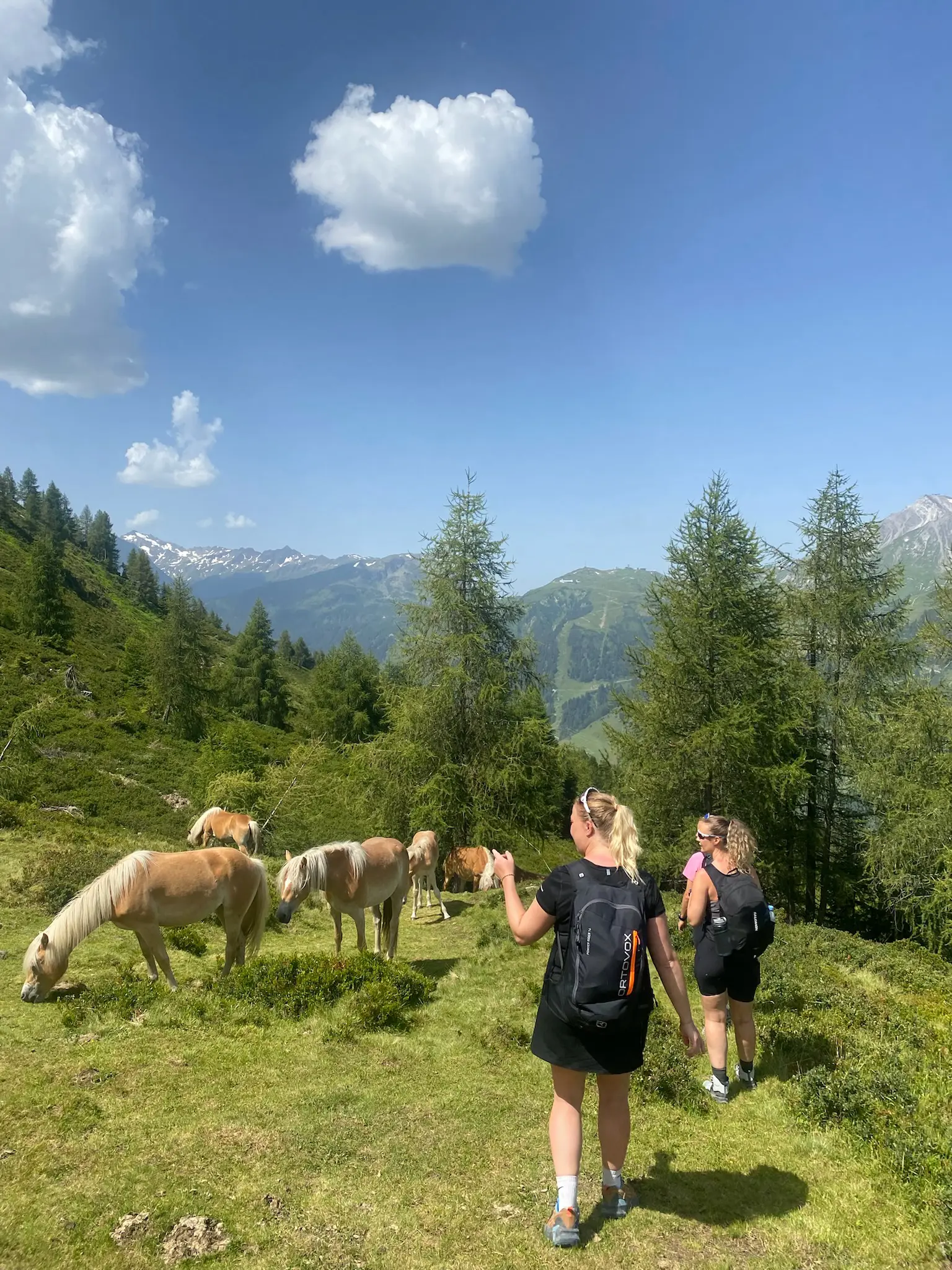 640A86C4 7E3A 4A06 8627 A1E5AF1D07B2