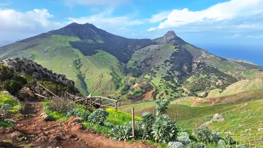 Pico Branco Vandretur Porto Santo Jesper Panorama (58)