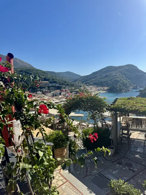 IMG 0746
