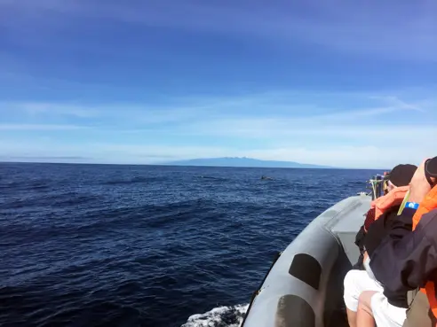 Bådtur Porto Santo (13)