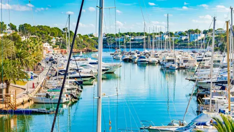 Cala Dor 2019 2