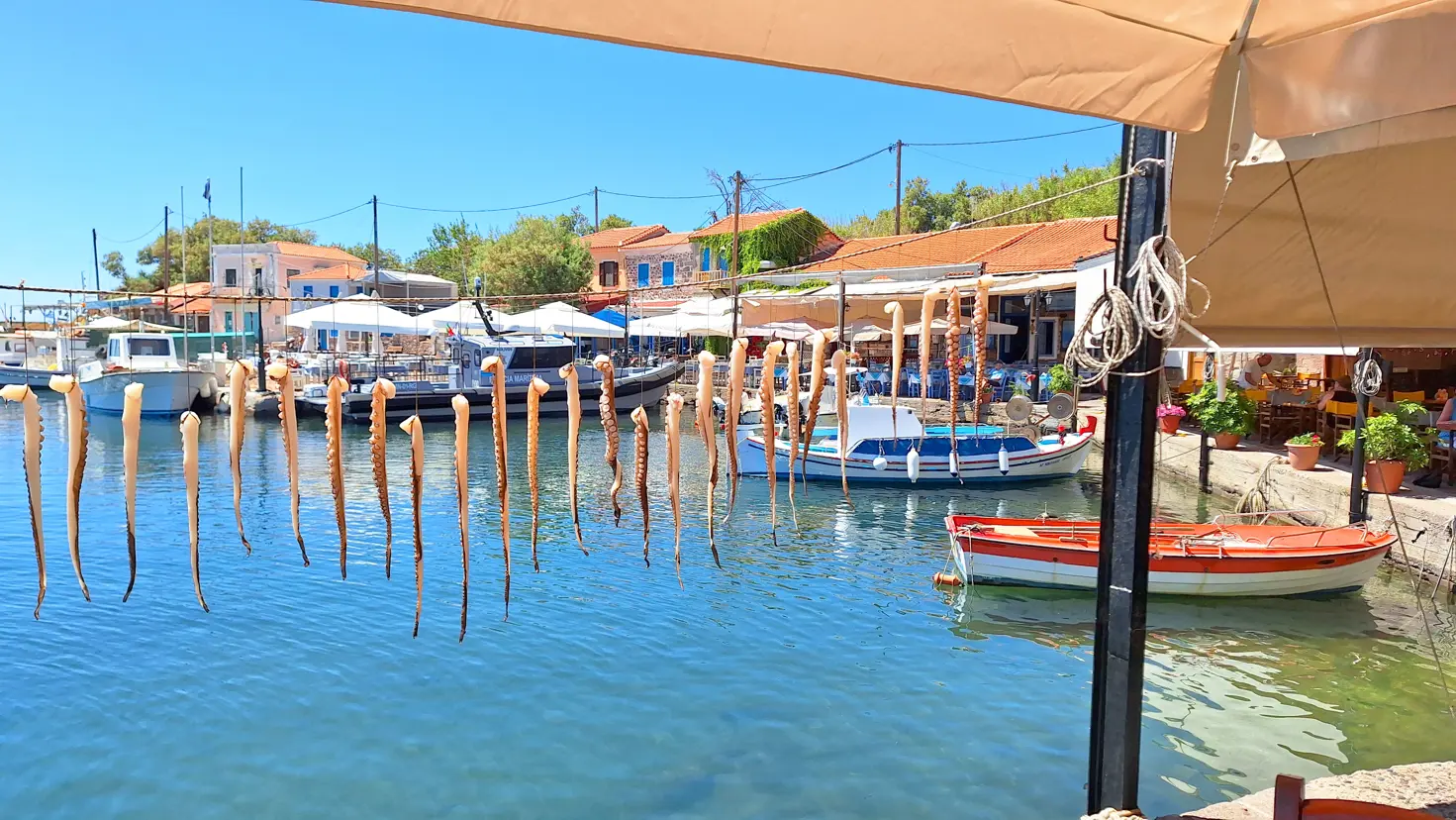2024 Molivos Lesbos 2 (20)