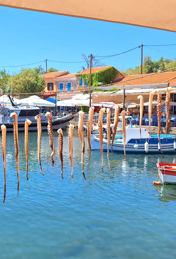 2024 Molivos Lesbos 2 (20)