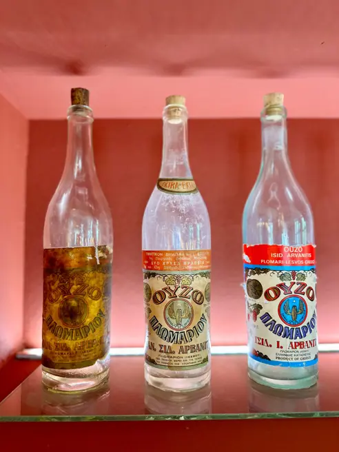 Ouzo Destilleri Plomari Studietur 2025 (5)