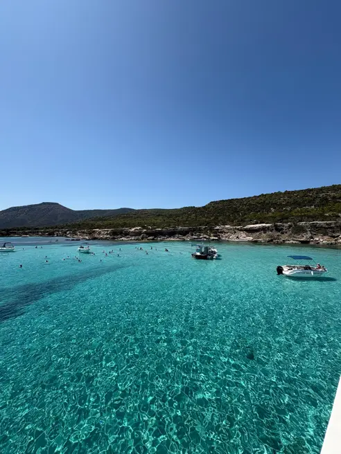 IMG 0618