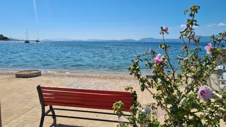 Paleros (60)