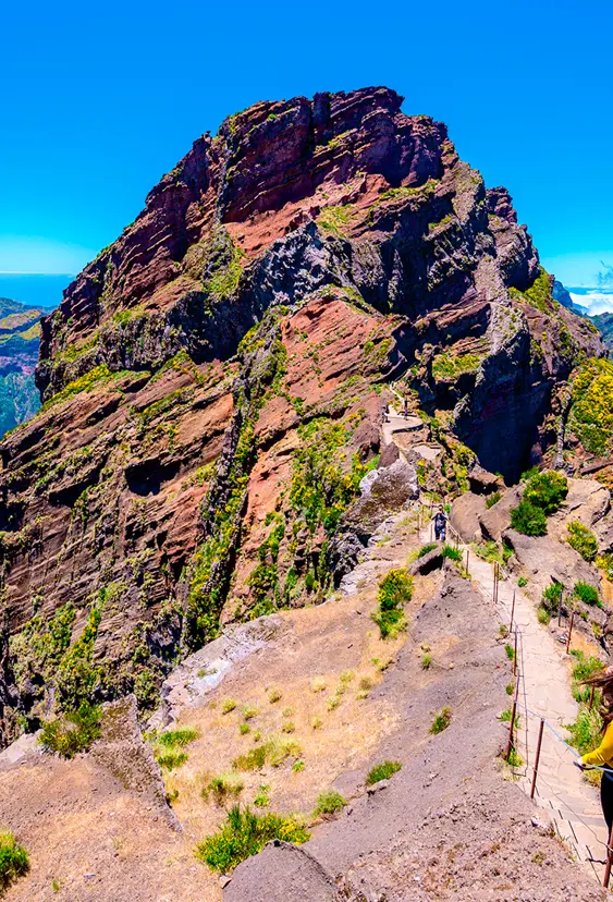 Madeira Shutterstock (40)