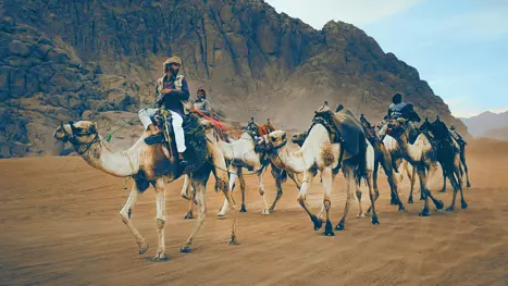 Egypten Sharm El Sheikh 1920X1080 25