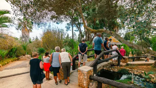 Quinta Das Palmeiras (3)