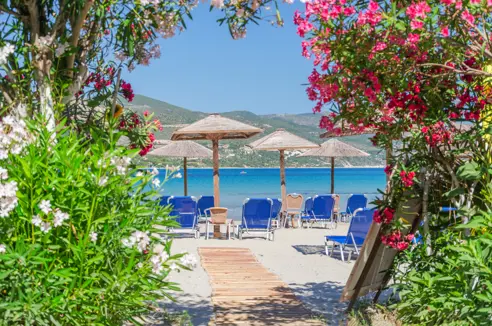 Zakynthos Alykanas Strand Østkysten 1