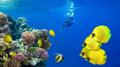 Egypten Sharm El Sheikh 1920X1080 1