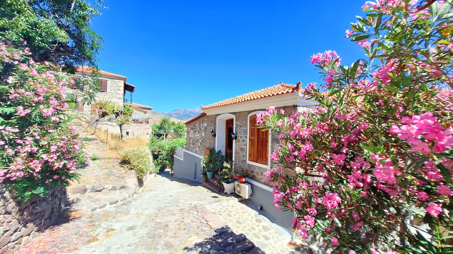 2024 Molivos Lesbos 1 (15)