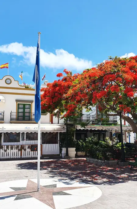 1. RECEPCIÓN