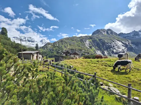 Berlinerhütte Vandretur (7)