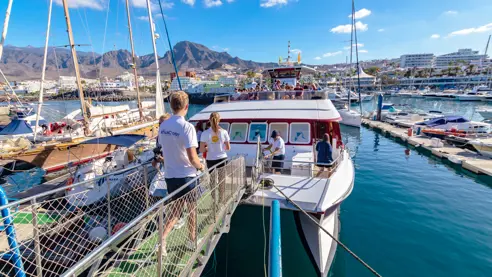 Ba Dtur Tenerife 2