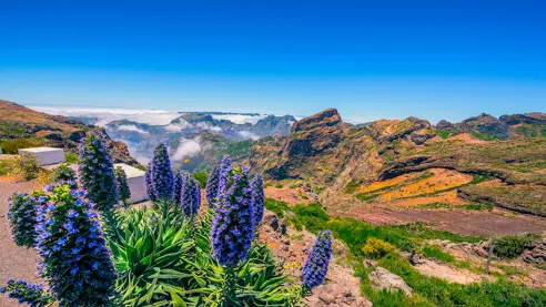 Pico Do Areeiro