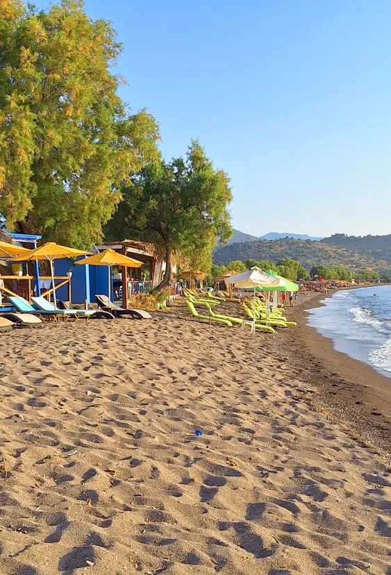 2024 Anaxos Lesbos Studietur (6)