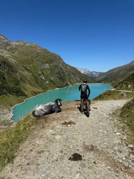 0BCDCC28 A094 44EA AF33 5155186761AF