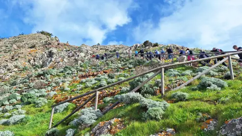 Pico Branco Vandretur Porto Santo Jesper Panorama (44)