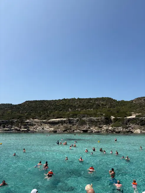 IMG 0412