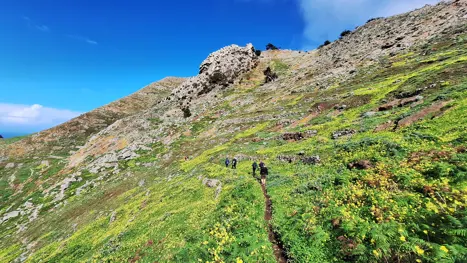 Pico Branco Vandretur Porto Santo Jesper Panorama (34)