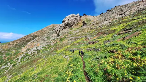 Pico Branco Vandretur Porto Santo Jesper Panorama (34)