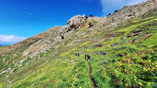 Pico Branco Vandretur Porto Santo Jesper Panorama (34)