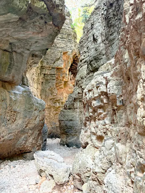 Unknown 1