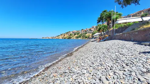 2024 Molivos Lesbos 2 (27)