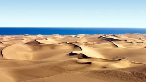 6Dunasdemaspalomas1.WEB