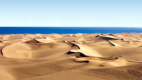 6Dunasdemaspalomas1.WEB
