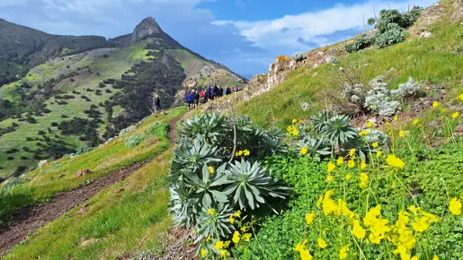 Pico Branco Vandretur Porto Santo Jesper Panorama (29)
