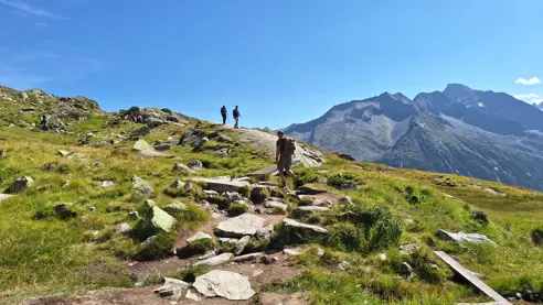 Olperer Hütte Vandretur (9)