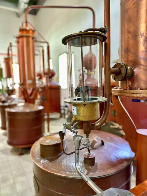 Ouzo Destilleri Plomari Studietur 2025 (8)