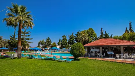 Pool med poolbar 