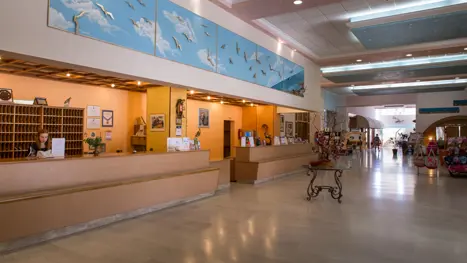 Irene Palace reception
