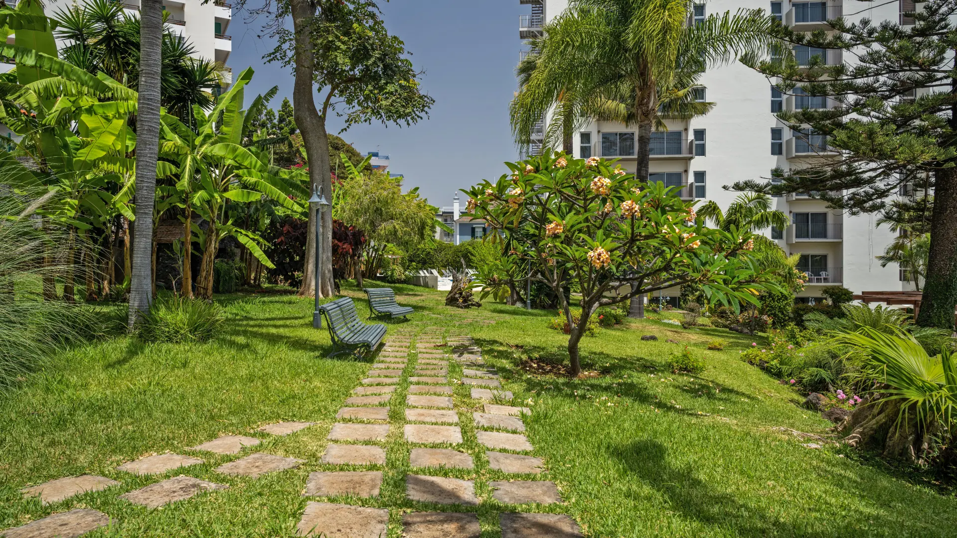 Girassol m/ All Inclusive slide 3