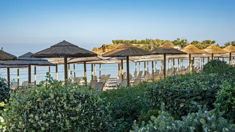 Golden Bay Suites 