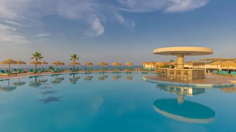 Pool med lille poolbar 