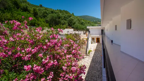 Spiros Studios mod bjergsiden 